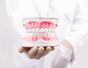 Dentist holding a dental model showing the Best Fixed Denture Implants in Greater Noida.